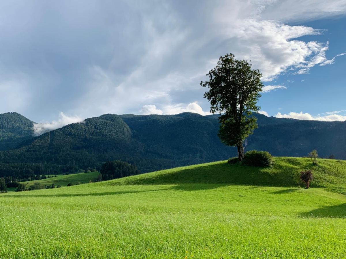 Ausseerhaus Im Gruenen Aussere Kainisch Bagian luar foto