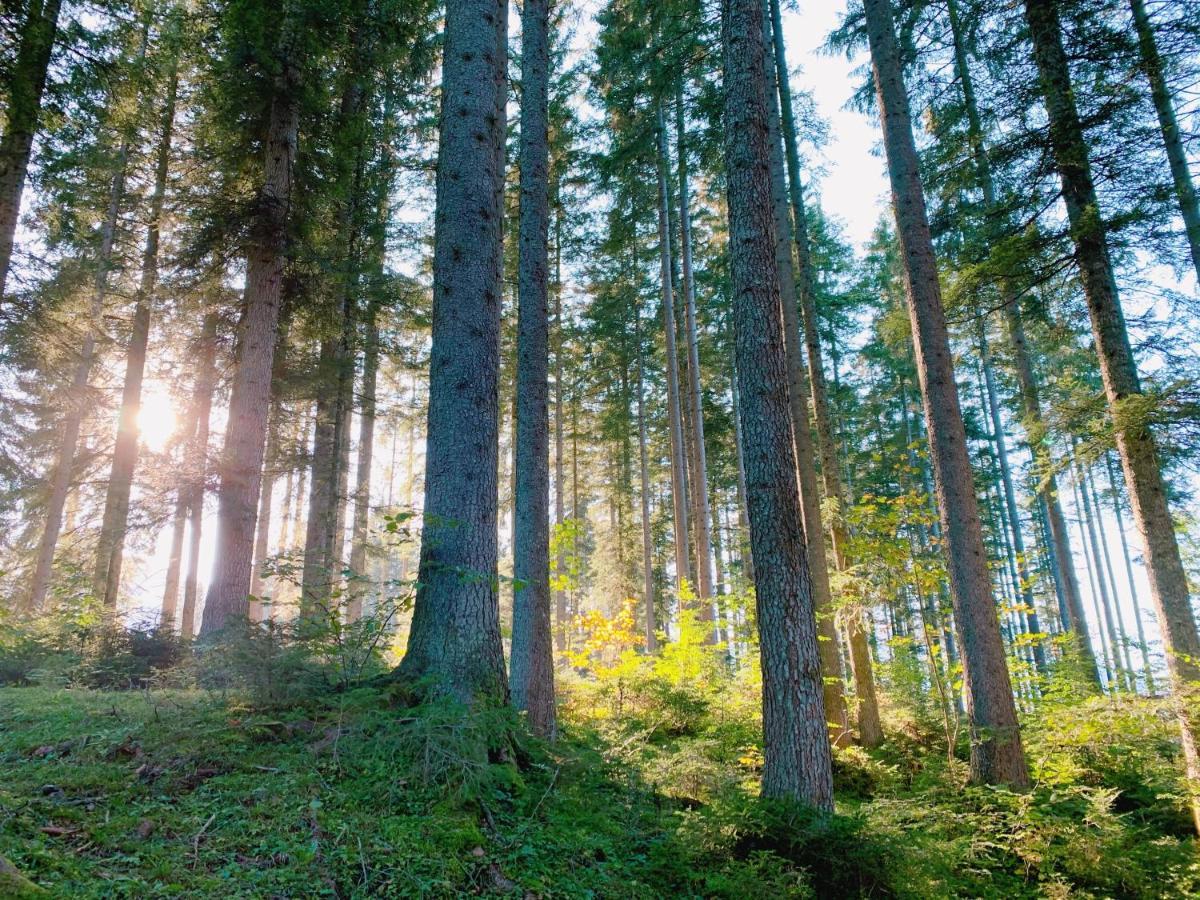 Ausseerhaus Im Gruenen Aussere Kainisch Bagian luar foto